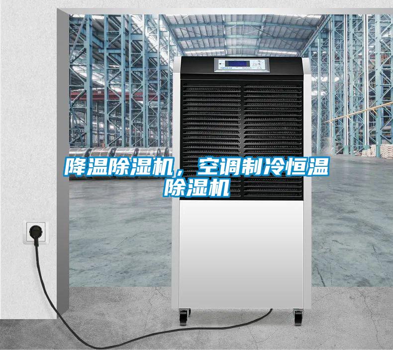 降溫除濕機(jī)，空調(diào)制冷恒溫除濕機(jī)