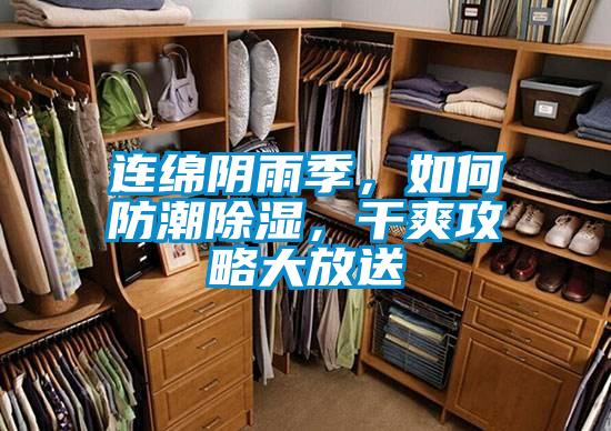 連綿陰雨季，如何防潮除濕，干爽攻略大放送