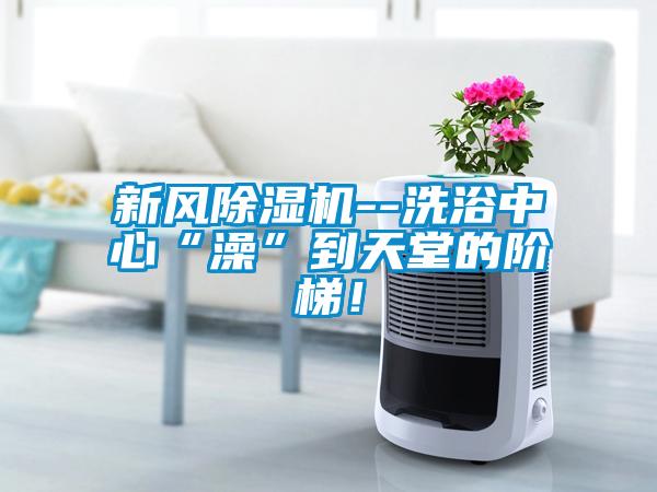 新風(fēng)除濕機(jī)--洗浴中心“澡”到天堂的階梯！