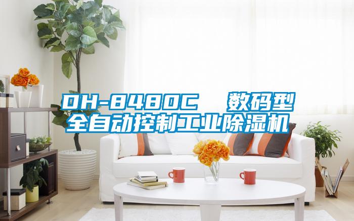DH-8480C  數碼型全自動控制工業(yè)除濕機