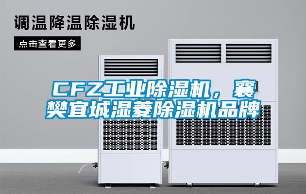 CFZ工業(yè)除濕機(jī)，襄樊宜城濕菱除濕機(jī)品牌