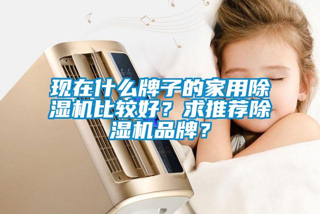 現(xiàn)在什么牌子的家用除濕機(jī)比較好？求推薦除濕機(jī)品牌？