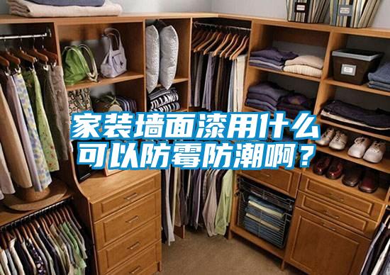家裝墻面漆用什么可以防霉防潮?。?/></p>
						    <p style=