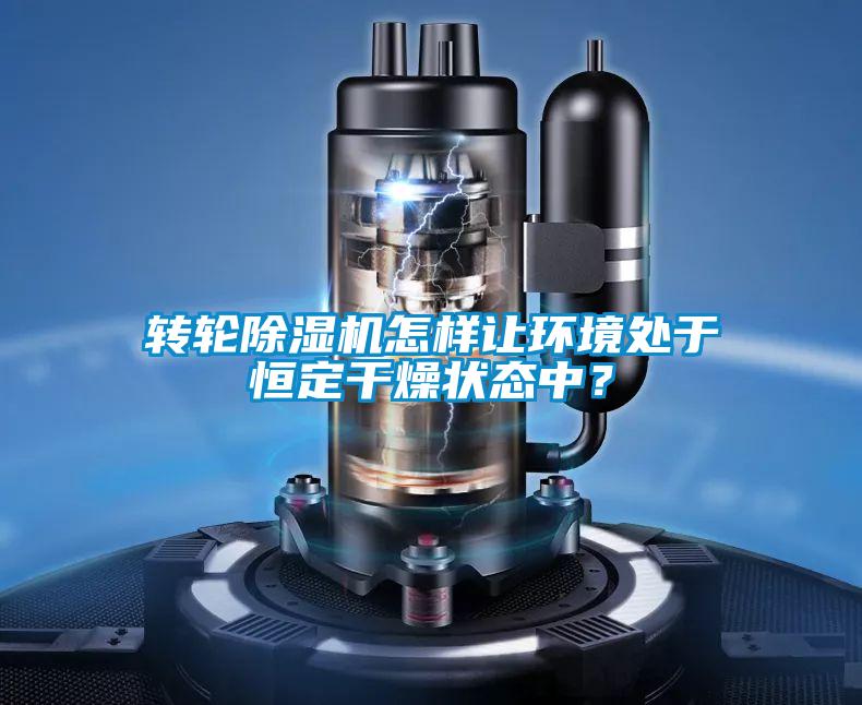 轉(zhuǎn)輪除濕機怎樣讓環(huán)境處于恒定干燥狀態(tài)中？