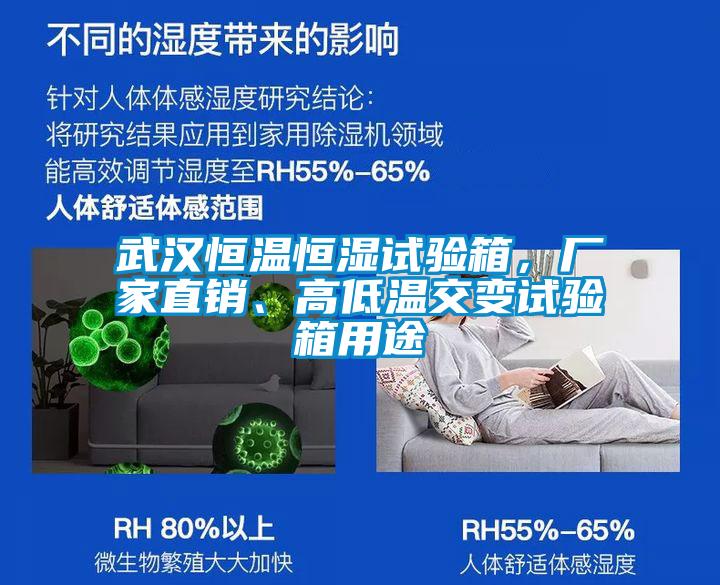 武漢恒溫恒濕試驗(yàn)箱，廠家直銷(xiāo)、高低溫交變?cè)囼?yàn)箱用途