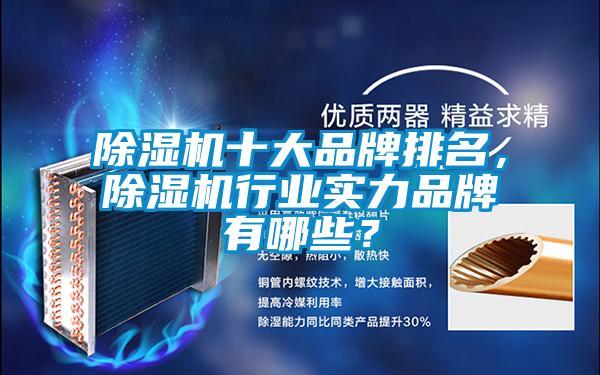 除濕機十大品牌排名，除濕機行業(yè)實力品牌有哪些？