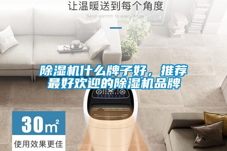 除濕機(jī)什么牌子好，推薦最好歡迎的除濕機(jī)品牌