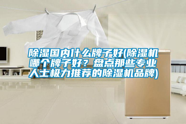 除濕國(guó)內(nèi)什么牌子好(除濕機(jī)哪個(gè)牌子好？盤點(diǎn)那些專業(yè)人士極力推薦的除濕機(jī)品牌)