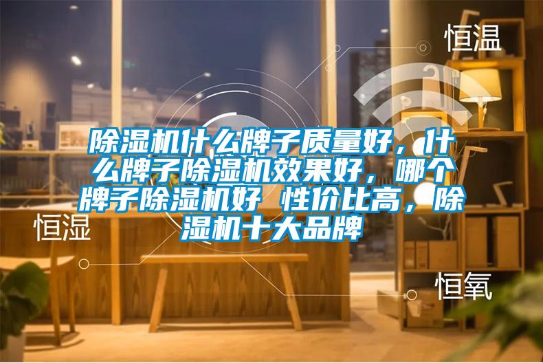 除濕機(jī)什么牌子質(zhì)量好，什么牌子除濕機(jī)效果好，哪個(gè)牌子除濕機(jī)好 性價(jià)比高，除濕機(jī)十大品牌