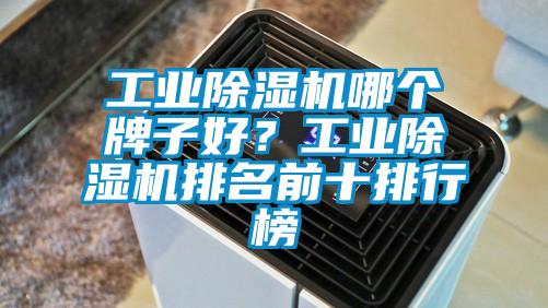 工業(yè)除濕機哪個牌子好？工業(yè)除濕機排名前十排行榜