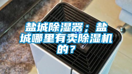 鹽城除濕器；鹽城哪里有賣除濕機(jī)的？