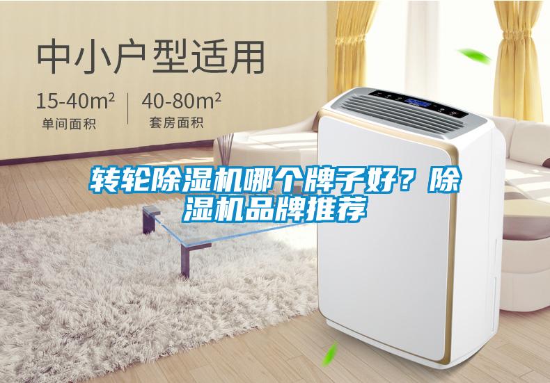 轉(zhuǎn)輪除濕機(jī)哪個牌子好？除濕機(jī)品牌推薦