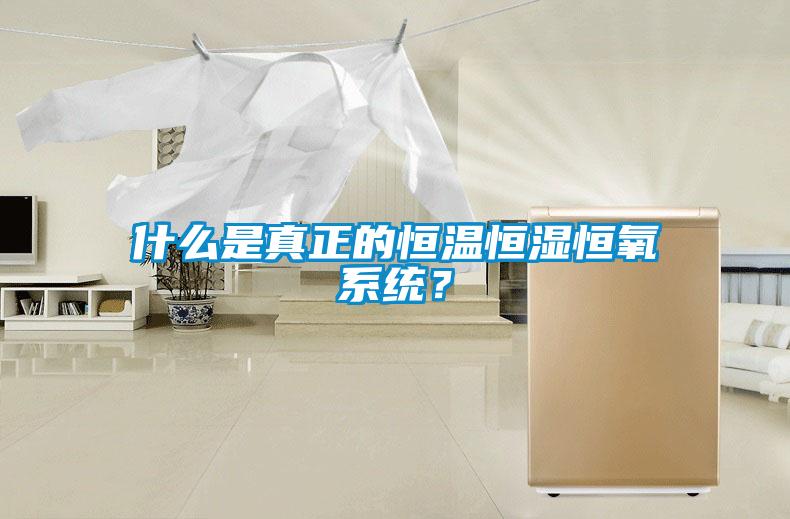 什么是真正的恒溫恒濕恒氧系統(tǒng)？