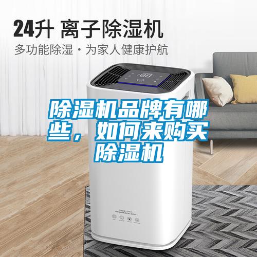 除濕機(jī)品牌有哪些，如何來(lái)購(gòu)買除濕機(jī)