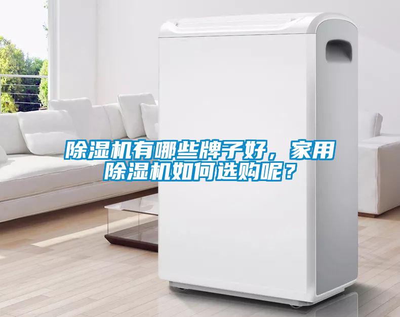 除濕機有哪些牌子好，家用除濕機如何選購呢？