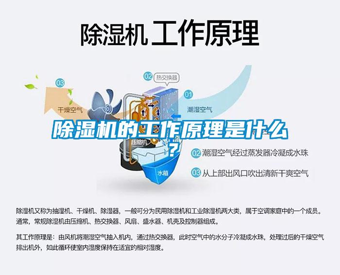 除濕機的工作原理是什么？