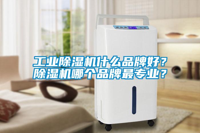 工業(yè)除濕機什么品牌好？除濕機哪個品牌最專業(yè)？