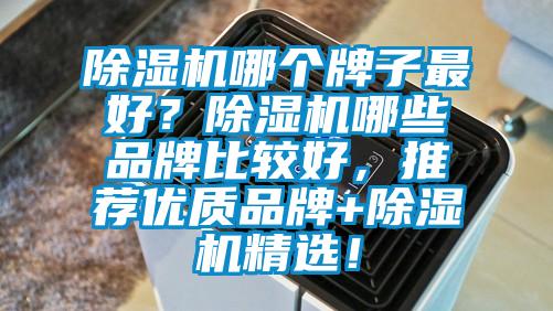 除濕機(jī)哪個(gè)牌子最好？除濕機(jī)哪些品牌比較好，推薦優(yōu)質(zhì)品牌+除濕機(jī)精選！