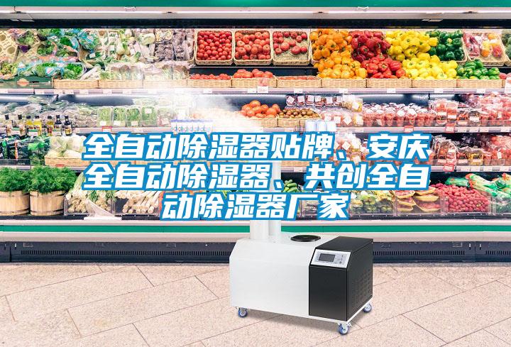 全自動(dòng)除濕器貼牌、安慶全自動(dòng)除濕器、共創(chuàng)全自動(dòng)除濕器廠家