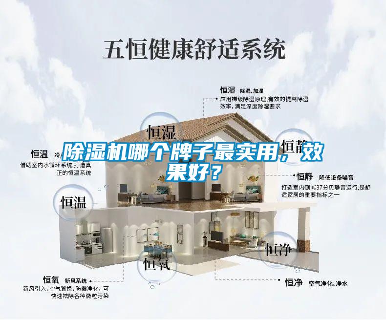 除濕機哪個牌子最實用，效果好？