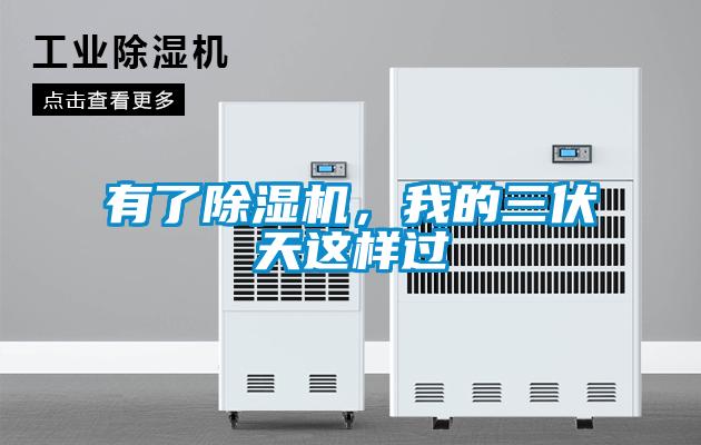 有了除濕機(jī)，我的三伏天這樣過