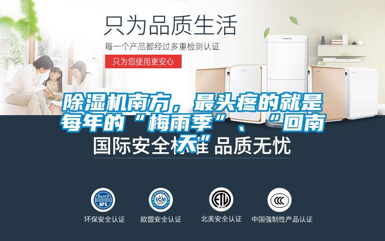 除濕機南方，最頭疼的就是每年的“梅雨季”、“回南天”