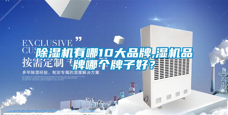 除濕機有哪10大品牌,濕機品牌哪個牌子好？