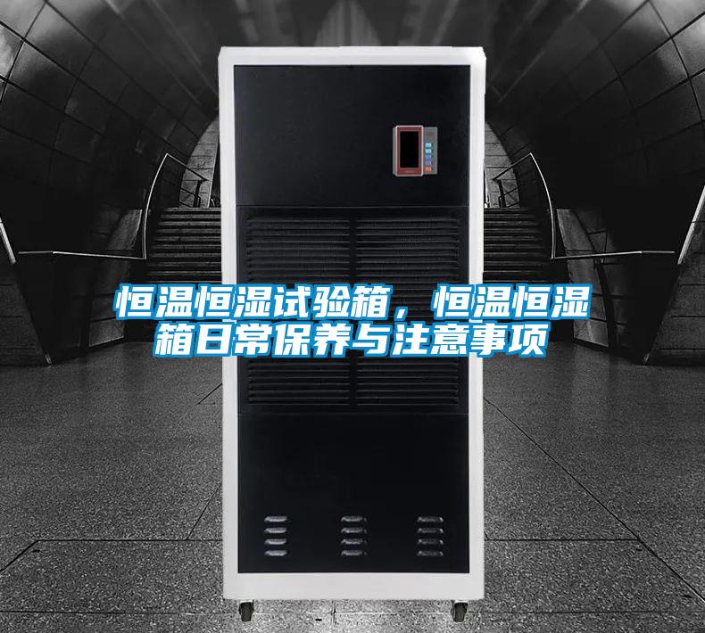 恒溫恒濕試驗(yàn)箱，恒溫恒濕箱日常保養(yǎng)與注意事項(xiàng)