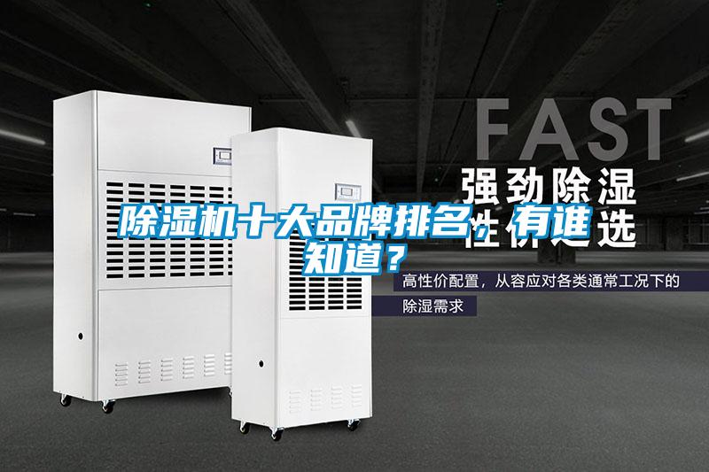 除濕機十大品牌排名，有誰知道？