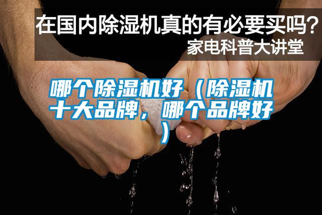 哪個(gè)除濕機(jī)好（除濕機(jī)十大品牌，哪個(gè)品牌好）