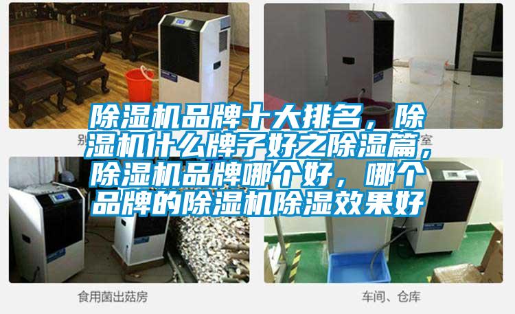 除濕機(jī)品牌十大排名，除濕機(jī)什么牌子好之除濕篇，除濕機(jī)品牌哪個(gè)好，哪個(gè)品牌的除濕機(jī)除濕效果好