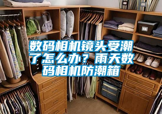 數(shù)碼相機(jī)鏡頭受潮了怎么辦？雨天數(shù)碼相機(jī)防潮箱
