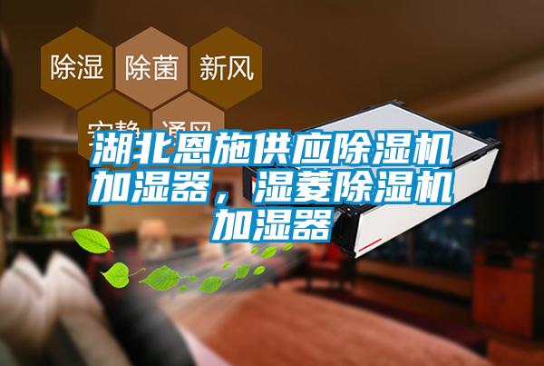 湖北恩施供應除濕機加濕器，濕菱除濕機加濕器