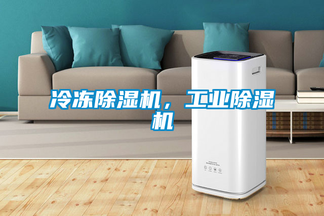 冷凍除濕機(jī)，工業(yè)除濕機(jī)