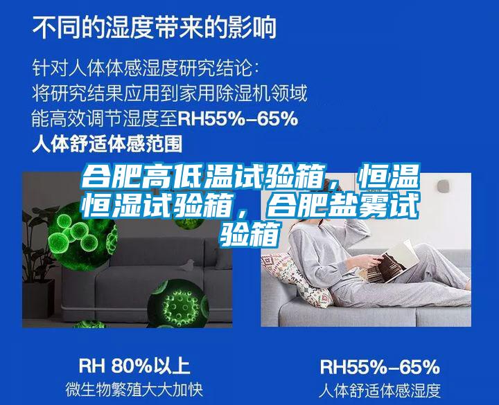 合肥高低溫試驗(yàn)箱，恒溫恒濕試驗(yàn)箱，合肥鹽霧試驗(yàn)箱