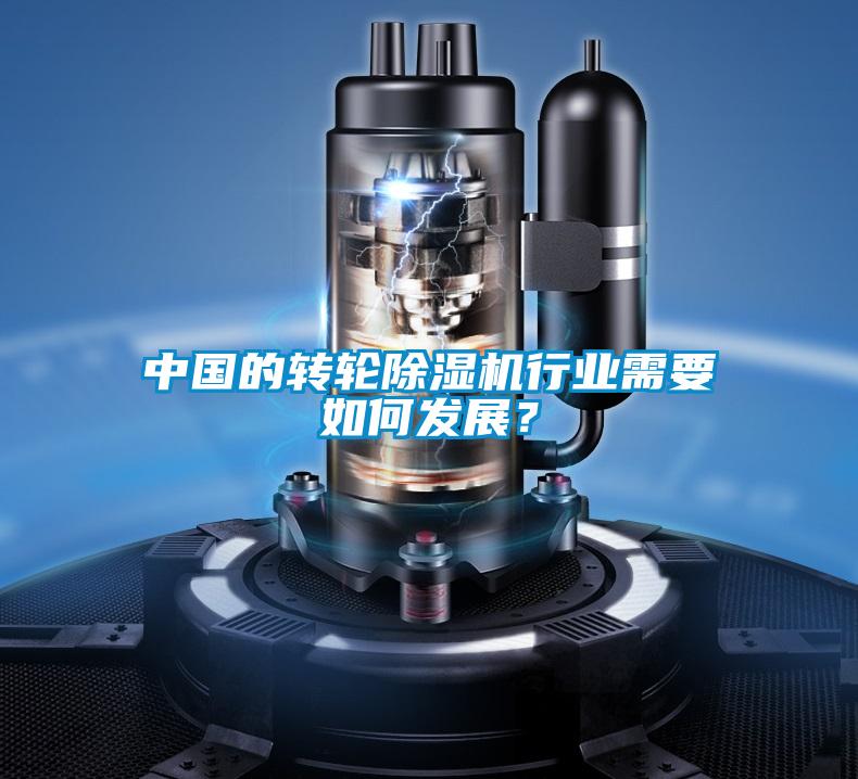 中國的轉(zhuǎn)輪除濕機行業(yè)需要如何發(fā)展？