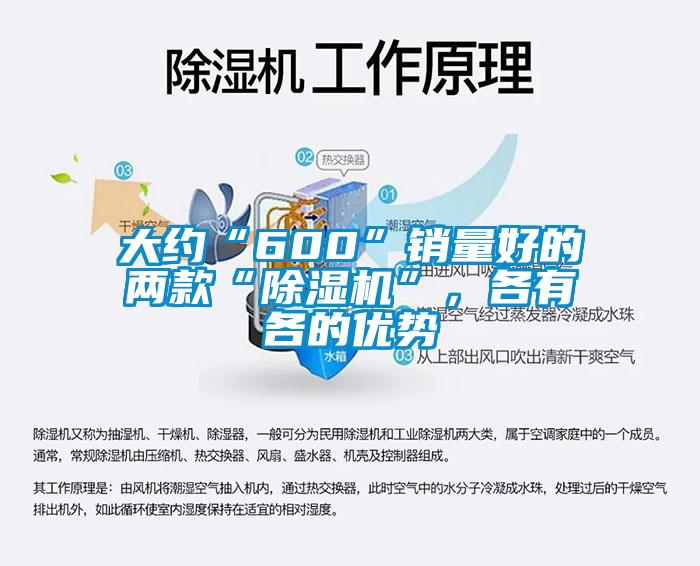 大約“600”銷量好的兩款“除濕機”，各有各的優(yōu)勢