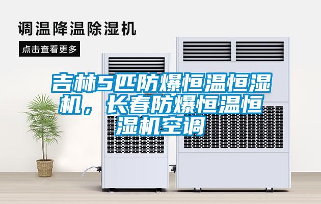 吉林5匹防爆恒溫恒濕機(jī)，長(zhǎng)春防爆恒溫恒濕機(jī)空調(diào)