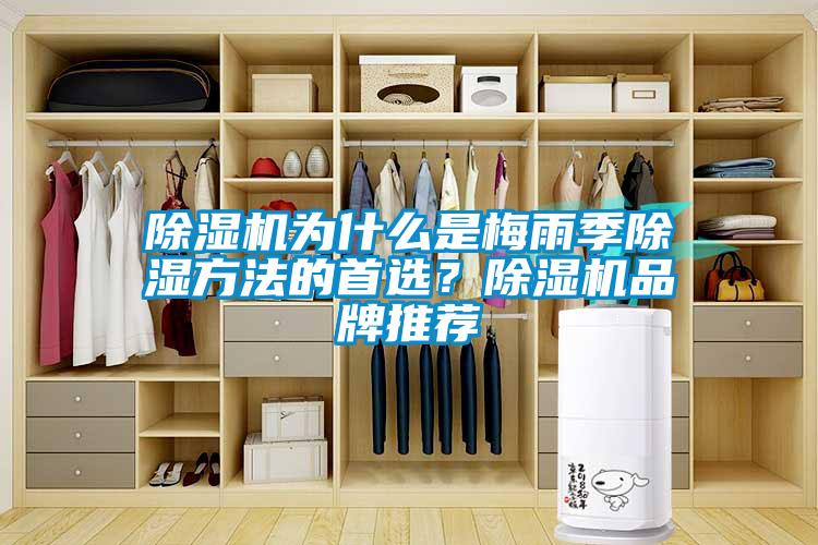 除濕機(jī)為什么是梅雨季除濕方法的首選？除濕機(jī)品牌推薦