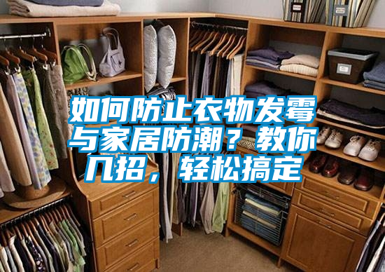 如何防止衣物發(fā)霉與家居防潮？教你幾招，輕松搞定