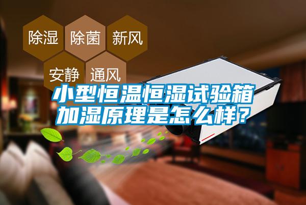 小型恒溫恒濕試驗(yàn)箱加濕原理是怎么樣？
