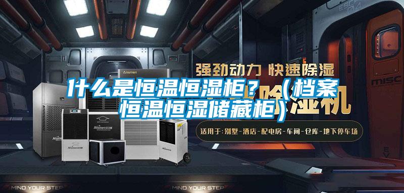 什么是恒溫恒濕柜？（檔案恒溫恒濕儲(chǔ)藏柜）