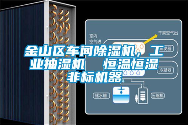 金山區(qū)車間除濕機，工業(yè)抽濕機  恒溫恒濕非標機器