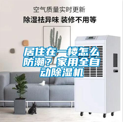 居住在一樓怎么防潮？家用全自動除濕機(jī)