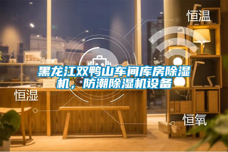 黑龍江雙鴨山車間庫房除濕機(jī)，防潮除濕機(jī)設(shè)備