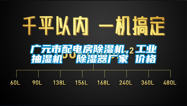 廣元市配電房除濕機(jī)，工業(yè)抽濕機(jī)  除濕器廠家 價(jià)格