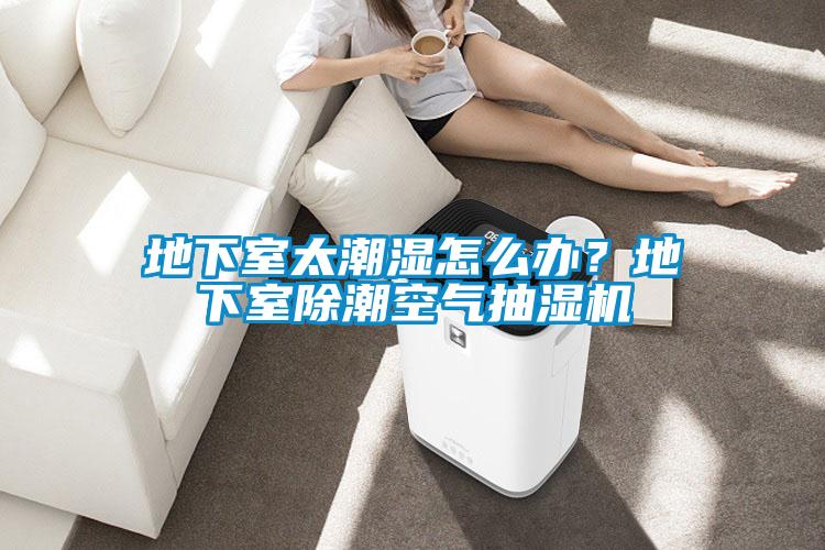 地下室太潮濕怎么辦？地下室除潮空氣抽濕機(jī)