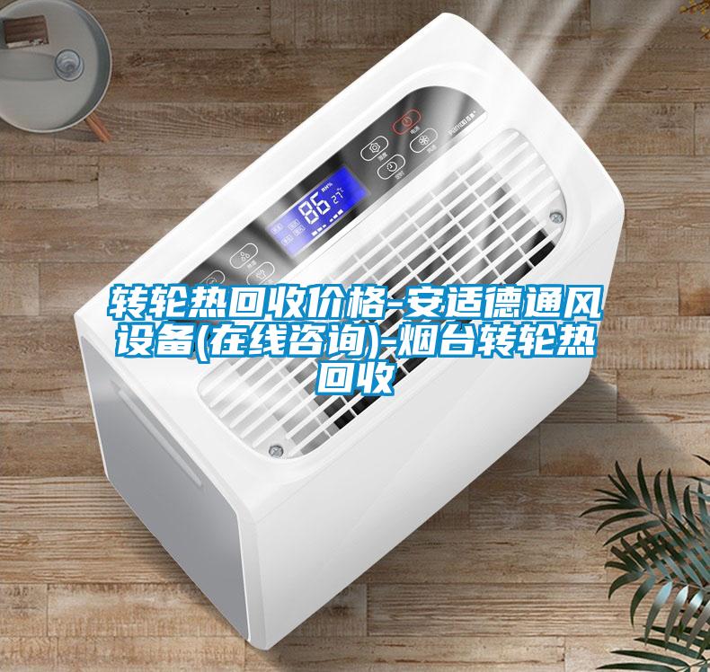 轉(zhuǎn)輪熱回收價格-安適德通風設備(在線咨詢)-煙臺轉(zhuǎn)輪熱回收