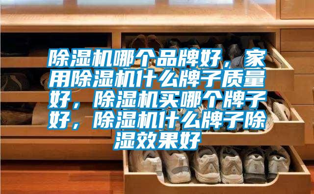 除濕機(jī)哪個(gè)品牌好，家用除濕機(jī)什么牌子質(zhì)量好，除濕機(jī)買哪個(gè)牌子好，除濕機(jī)什么牌子除濕效果好