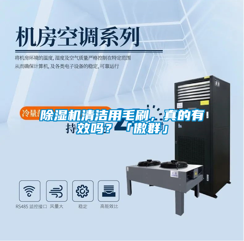 除濕機清潔用毛刷，真的有效嗎？「傲群」